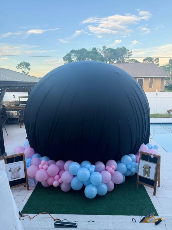 Gender reveal Bubble House