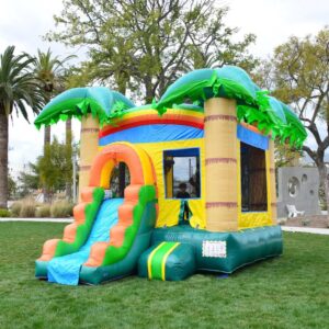 Bounce House Rentals on Estero Island